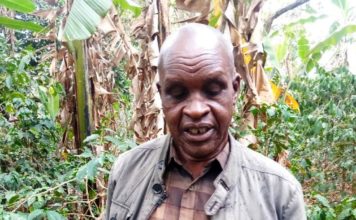 Adoption of Avocado in Trans Nzoia County