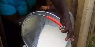 Dairy farming, Meru