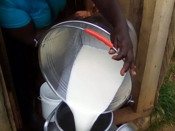 Dairy farming, Meru