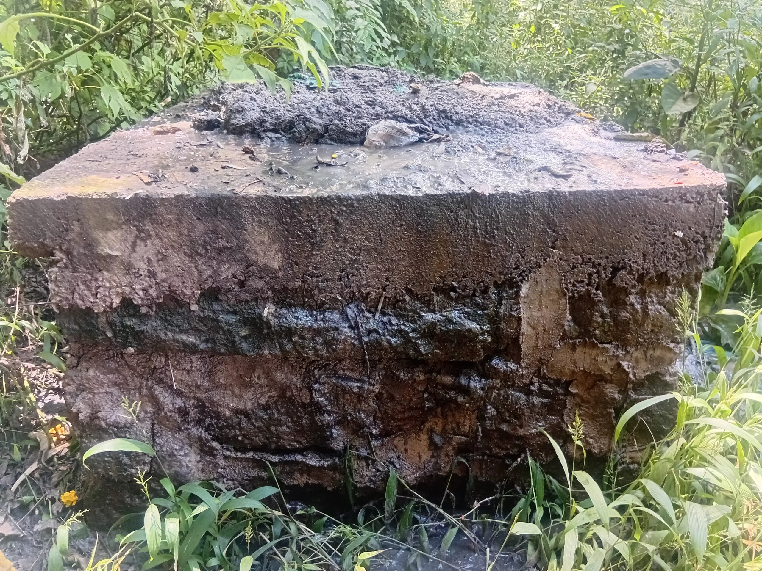 Water contamination, raw sewerage