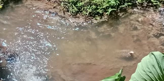 Polluted River