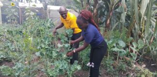 Organic farmers Mercy Ndinda and John Wambu at farming in Kiserian
