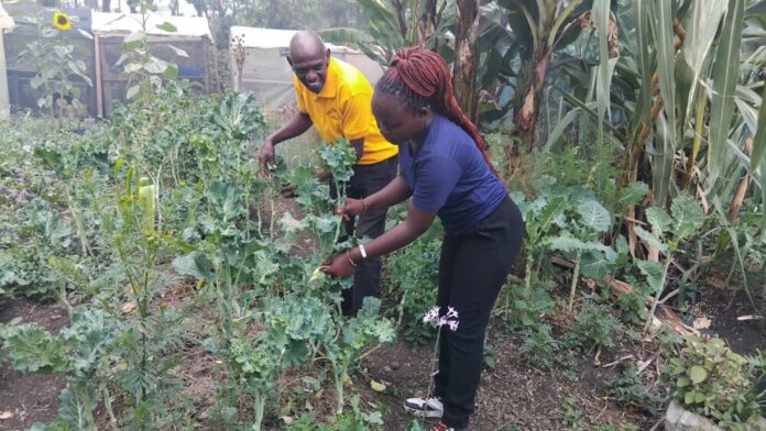 Organic farmers Mercy Ndinda and John Wambu at farming in Kiserian
