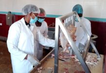 Can Value Addition Help Poultry Farmers Break Free from Middlemen, Build Profitable, Sustainable livelihoods?
