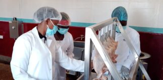 Can Value Addition Help Poultry Farmers Break Free from Middlemen, Build Profitable, Sustainable livelihoods?