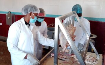 Can Value Addition Help Poultry Farmers Break Free from Middlemen, Build Profitable, Sustainable livelihoods?