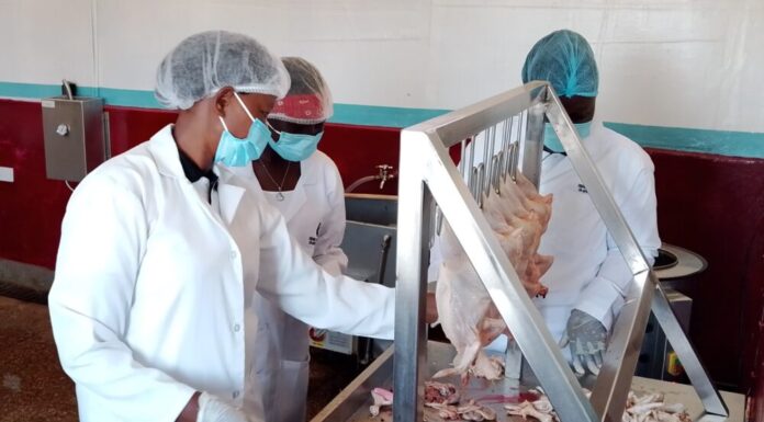 Can Value Addition Help Poultry Farmers Break Free from Middlemen, Build Profitable, Sustainable livelihoods?