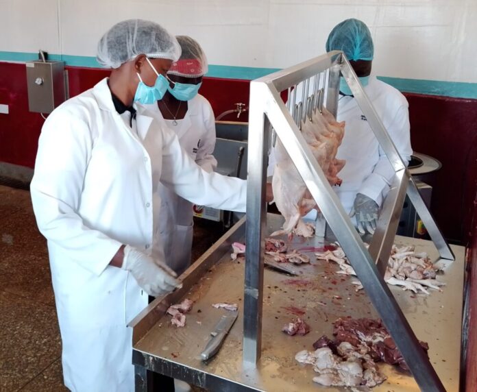 SLAUGHTERING