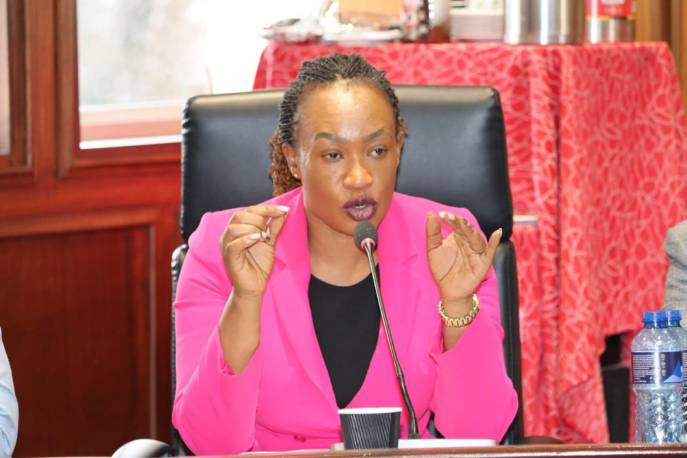 Campaign Mobilisers to Decision Makers: Women Seek Greater Political Voice SIYOI