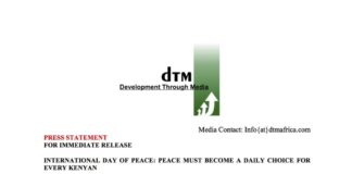 dtm idp